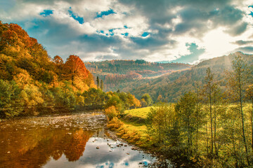 autumn landscape. A mountain river flows through a glade with an autumn forest. Trees with yellow leaves.