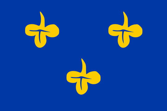 Flag of Zoeterwoude Municipality (South Holland or Zuid-Holland province, Kingdom of the Netherlands, Holland)