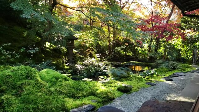 日本庭園の秋