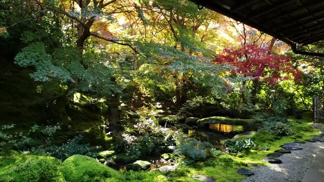 日本の秋　庭園
