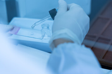 Scientist hands wearing white gloves take microscopic slide for cytology diagnosis.Medical...
