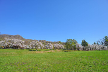 烏帽子岩公園