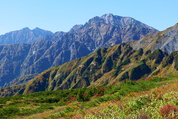 中部山岳国立公園。秋の八方尾根。白馬、長野、日本。10月上旬。