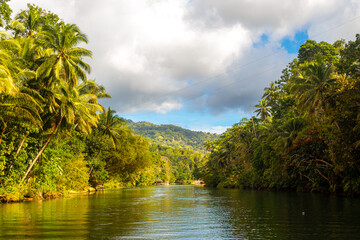 Loboc River at Bohol, Philippines, Scenery background - obrazy, fototapety, plakaty