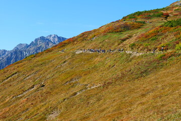 Fototapeta premium 中部山岳国立公園。秋の八方尾根。白馬、長野、日本。10月上旬。