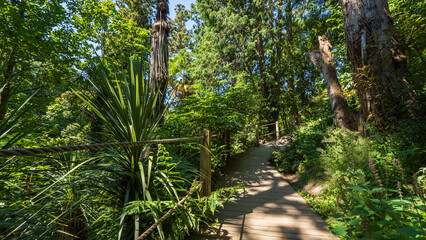 Lost Gardens of Heligan