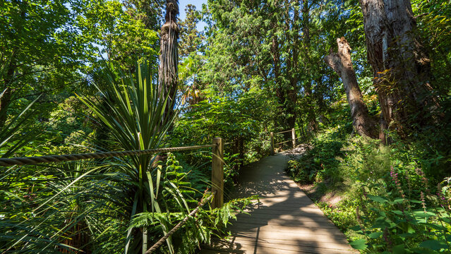 Lost Gardens of Heligan
