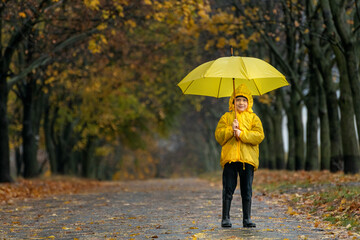 Boy in yellow raincoat stay under yellow umbrella in an autumn park. Rainy fall day