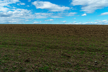 The background is a plowed field and beautiful clouds. Deep furrows in the ground after tractor...