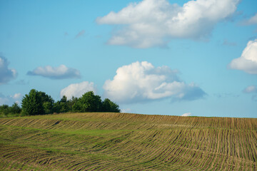 The background is a plowed field and beautiful clouds. Deep furrows in the ground after tractor...