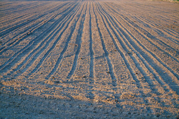 A plowed rural field illuminated by the rays of the setting sun. An empty agro-industrial field prepared for planting wheat, barley, rapeseed and other crops. Deep furrows in the ground