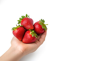 Hand holding fresh strawberries isolated on a white background with copy space
