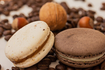 French creamy white and brown macaroons and nuts on white background, coffee beans and hazelnut macarons, coffee dessert. Macro