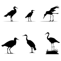 Fototapeta premium crane bird black and white vector collection on white background