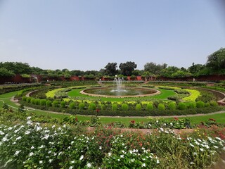 fountain in the park, with all kinds of plants and trees 