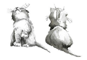 Pets. A set of two long-haired short-tailed Scottish Fold kittens sitting with their backs looking up and raising their paws. hand drawn watercolor illustration on white background