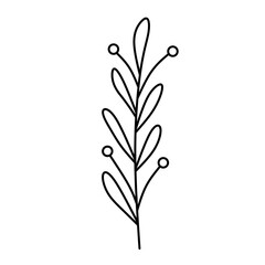Obraz premium flower plant line design collection (leaf, flower, plant 