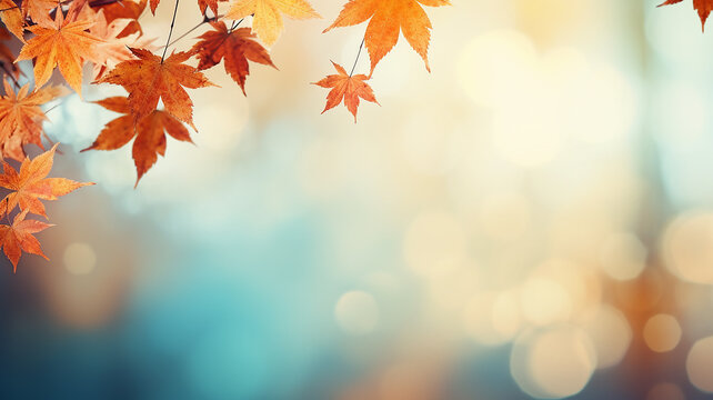 maple leaves on abstract blurred background with bokeh copy space, light bright autumn background for text
