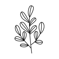 flower plant line design collection (leaf, flower, plant 