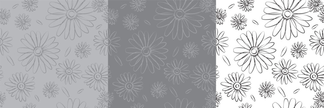 Floral background with white daisies, seamless organic texture in honor of mother's day, women's day, march 8, wedding
