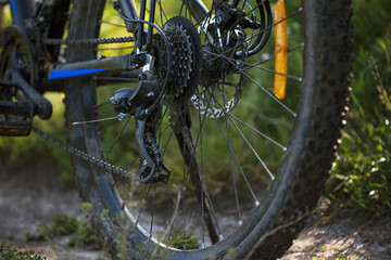 rear wheel close up. Small sprocket on the mountain bike rear derailleur. Bicycle wheel speed switch details. concepts of renovation, sports, cycling, outdoor activities