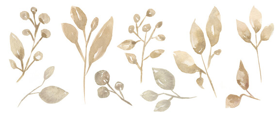 Leaves illustration set, delicate beige garden florals clipart collection, greenery clip art - 639837640