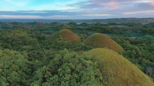 Chocolate Hills at sunset in Bohol Island, Philippines. Aerial drone cinematic shot. Backward travelling panning down on famous tourist destination. Vibrant dusk colors and dramatic cloudy sunset.