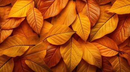 Autumn leaves background. Generative Ai