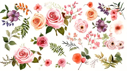 Fotobehang Colorful rose flower pattern on white background © sanjit536