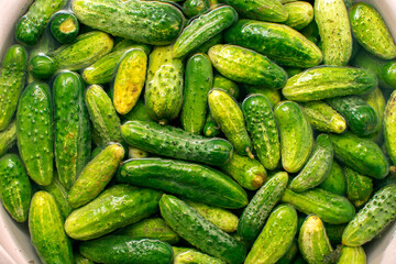 Closeup view of cucumbers soaked in water