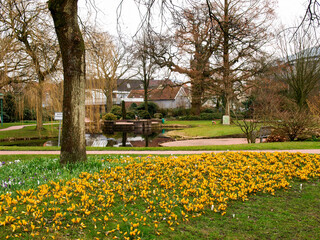 Green city park in spring bloom