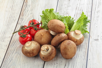 Raw brown royal champignon heap