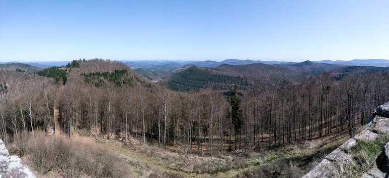 hiking trails in the border forest area