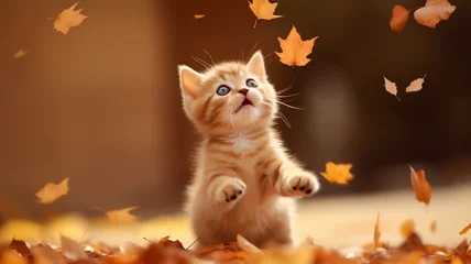 Deurstickers Little red kitten playing with fall leaves © Nonna