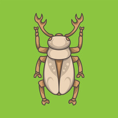 Unique coconut beetle logo mascot character design