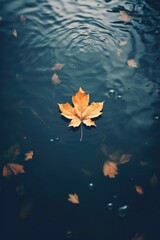 Fototapeta na wymiar autumn foliage, september, real photo of leaf in water drop of water