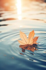 autumn foliage, september, real photo of leaf in water drop of water