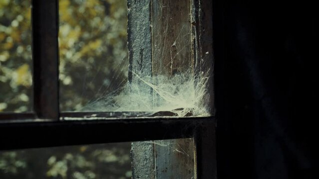 Cobweb in a rusty window sill. Abandoned building in the forest, reclaimed by nature.