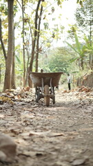 old wheelbarrow for agricultural work. An old construction trolley was abandoned in the forest