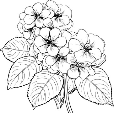 black and white flowers and leaves clip art preview