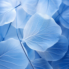 Obraz premium Blue pale leaf wallpaper in soft light, background, wallpaper
