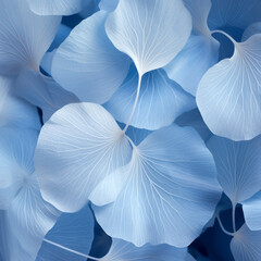 Fototapeta na wymiar Blue pale leaf wallpaper in soft light, background, wallpaper