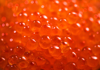 Red Caviar background. Close-up salmon caviar. Delicatessen. Texture of red trout caviar. Backdrop. Healthy Seafood. 