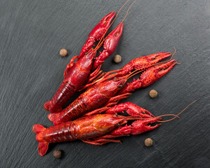 Crayfish, Crawfish closeup. Red boiled crayfish with herbs on stone slate dark background. Crawfishes. Fresh Lobster closeup, with spices. Top view