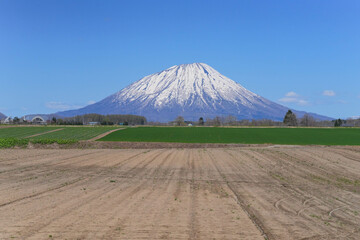 Obraz premium 洞爺湖