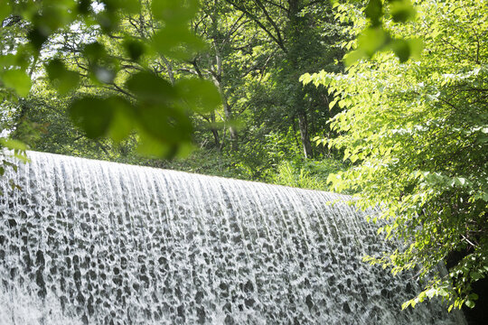 A waterfall in the japanes forest 