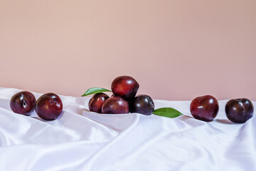 The plum is the fruit of the plum tree