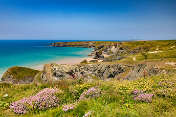 Fototapeta na wymiar Bedruthan Steps in summer, with wildflowers, deep blue sea, clear blue sky and sunshine, Cornwall, UK.