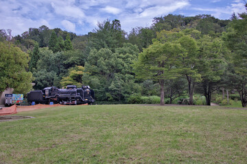 SLのある芝生広場