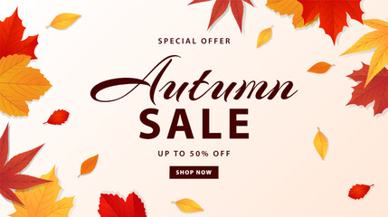 Fototapeta na wymiar Autumn sale banner. Autumn leaves background for shopping sale, special offer. Promo poster, shopping website template. Vector illustration